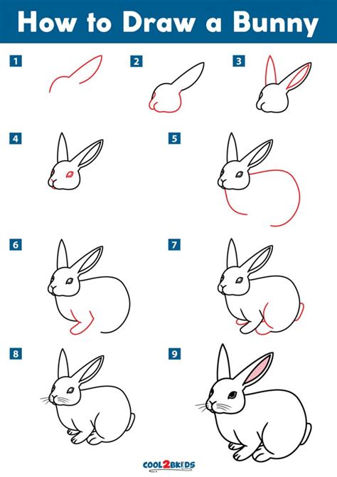 Work out the eyes and the area around the nose. To draw a rabbit as perfectly as possible, you need to work out the animal’s face in as many details as possible. Take your time and just continue stroking the fur all over the rabbit. The fur on the head, ears, or legs is shorter than the fur on the back or on the sides.